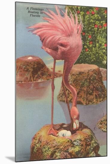 Flamingo Nesting in Florida-null-Mounted Art Print