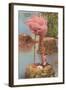 Flamingo Nesting in Florida-null-Framed Art Print