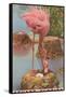 Flamingo Nesting in Stuart, Florida-null-Framed Stretched Canvas