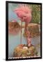 Flamingo Nesting in Stuart, Florida-null-Framed Art Print