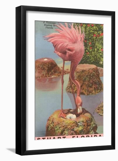 Flamingo Nesting in Stuart, Florida-null-Framed Art Print