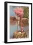 Flamingo Nesting in Stuart, Florida-null-Framed Art Print