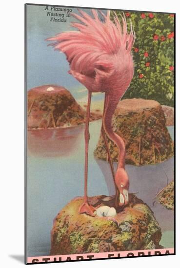 Flamingo Nesting in Stuart, Florida-null-Mounted Art Print