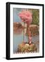 Black Frame