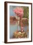 Brown Frame
