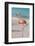 Flamingo on Flamingo Beach, Renaissance Island, Oranjestad, Aruba, Lesser Antilles-Jane Sweeney-Framed Photographic Print