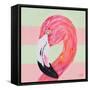 Flamingo on Stripes II-Julie DeRice-Framed Stretched Canvas