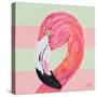 Flamingo on Stripes II-Julie DeRice-Stretched Canvas