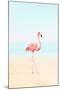 Flamingo on the Beach II-Tai Prints-Mounted Art Print