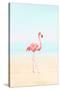 Flamingo on the Beach II-Tai Prints-Stretched Canvas