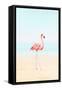 Flamingo on the Beach II-Tai Prints-Framed Stretched Canvas