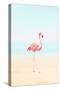 Flamingo on the Beach II-Tai Prints-Stretched Canvas