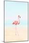 Flamingo on the Beach II-Tai Prints-Mounted Art Print