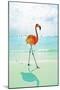 Flamingo on the Beach-Tai Prints-Mounted Art Print