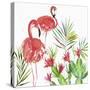 Flamingo Pairing-Aimee Wilson-Stretched Canvas