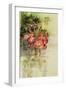 Flamingo Paper-Tim Knepp-Framed Premium Giclee Print