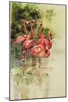 Flamingo Paper-Tim Knepp-Mounted Giclee Print