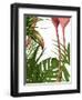 Flamingo Peering-Fab Funky-Framed Art Print