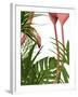 Flamingo Peering-Fab Funky-Framed Art Print