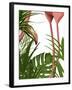 Flamingo Peering-Fab Funky-Framed Art Print