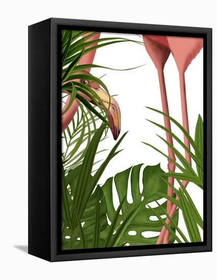 Flamingo Peering-Fab Funky-Framed Stretched Canvas