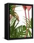 Flamingo Peering-Fab Funky-Framed Stretched Canvas