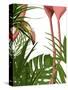 Flamingo Peering-Fab Funky-Stretched Canvas