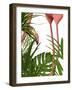 Flamingo Peering-Fab Funky-Framed Art Print