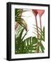 Flamingo Peering-Fab Funky-Framed Art Print