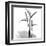 Flamingo Plant Black and White-Albert Koetsier-Framed Art Print