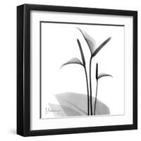 Flamingo Plant Black and White-Albert Koetsier-Framed Art Print
