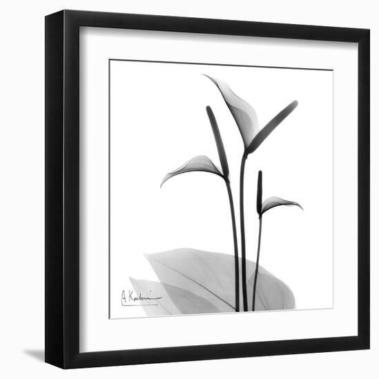 Flamingo Plant Black and White-Albert Koetsier-Framed Art Print