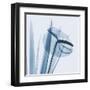 Flamingo Plant in Blue-Albert Koetsier-Framed Art Print