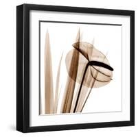 Flamingo Plant in Sienna-Albert Koetsier-Framed Art Print