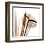 Flamingo Plant in Sienna-Albert Koetsier-Framed Art Print