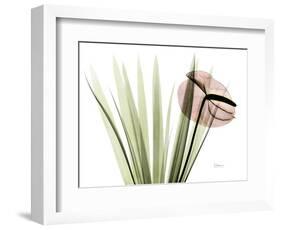 Flamingo Plant L115-Albert Koetsier-Framed Photographic Print