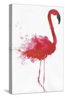 Flamingo Portrait II-Aimee Wilson-Stretched Canvas