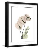 Flamingo Portrait-Albert Koetsier-Framed Premium Giclee Print