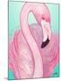 Flamingo Portrait-Elizabeth Medley-Mounted Art Print