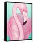 Flamingo Portrait-Elizabeth Medley-Framed Stretched Canvas