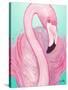 Flamingo Portrait-Elizabeth Medley-Stretched Canvas