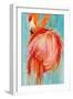 Flamingo Pose-Kathleen Broaderick-Framed Art Print