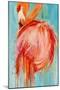 Flamingo Pose-Kathleen Broaderick-Mounted Art Print