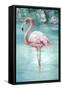 Flamingo Romance I-Eli Jones-Framed Stretched Canvas