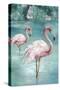 Flamingo Romance II-Eli Jones-Stretched Canvas