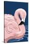 Flamingo Solo-Lantern Press-Stretched Canvas