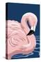 Flamingo Solo-Lantern Press-Stretched Canvas