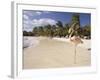 Flamingo, Sonesta Island, Aruba, West Indies, Dutch Caribbean, Central America-Sergio Pitamitz-Framed Photographic Print