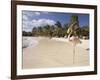 Flamingo, Sonesta Island, Aruba, West Indies, Dutch Caribbean, Central America-Sergio Pitamitz-Framed Photographic Print