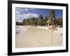 Flamingo, Sonesta Island, Aruba, West Indies, Dutch Caribbean, Central America-Sergio Pitamitz-Framed Photographic Print